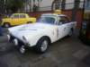 p5110071_small.jpg
