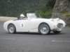 p5110102_small.jpg