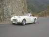 p5110142_small.jpg