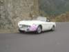 p5110144_small.jpg