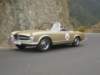 p5110170_small.jpg