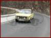 iirclsicofirgas016_small.jpg