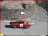 iirclsicofirgas070_small.jpg
