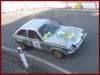 iirclsicofirgas190_small.jpg