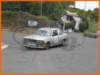 iiiclsicaarucas031_small.jpg