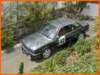 iiiclsicaarucas109_small.jpg