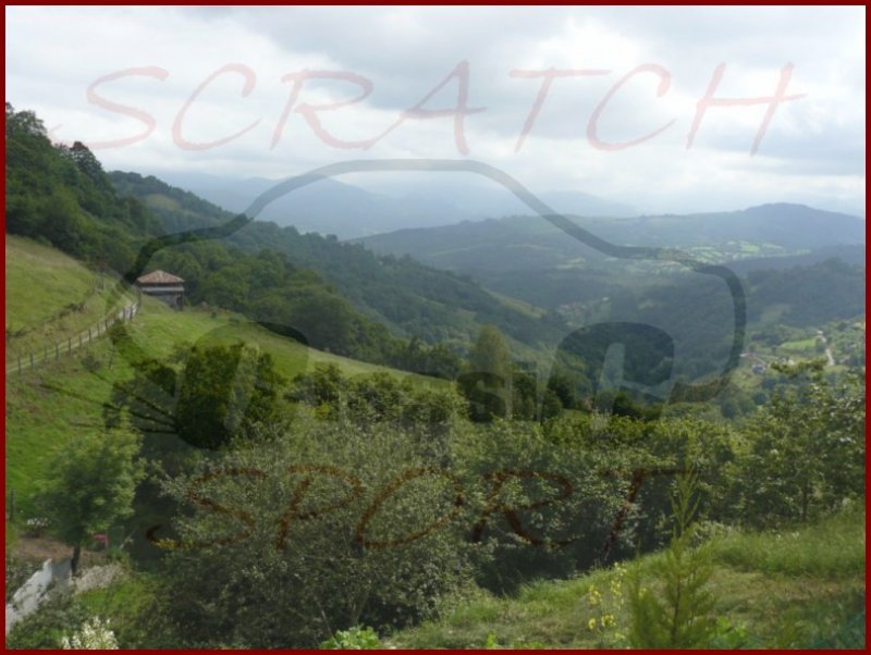 asturias437.jpg