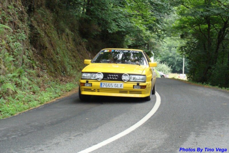 dsc07861.jpg