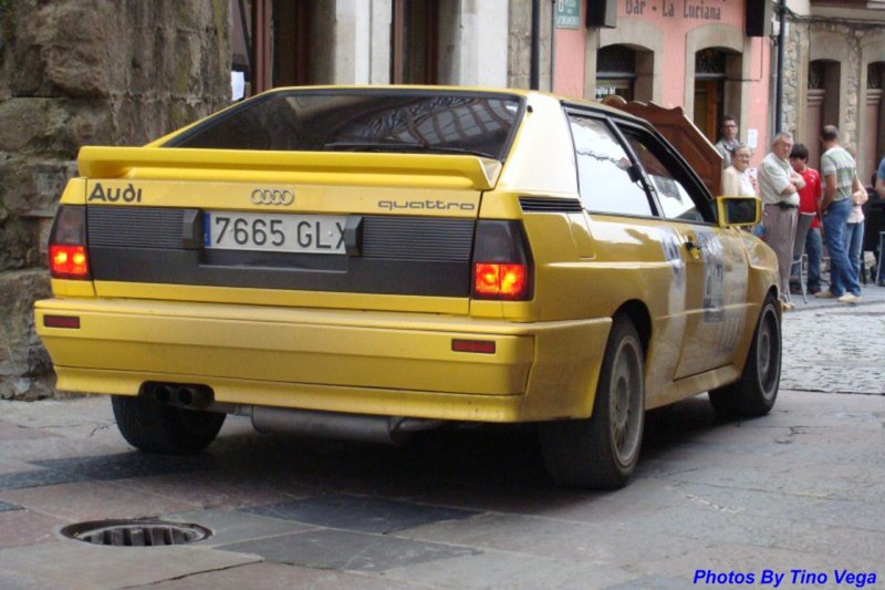 dsc07955.jpg