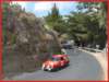 vclsicateror071_small.jpg