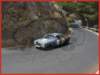 vclsicateror074_small.jpg