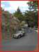 vclsicateror077_small.jpg