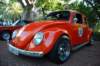 rfclastfe2010125_small.jpg