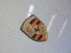 p1040527_small.jpg