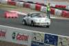 dsc_0350_small.jpg