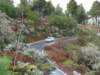 image00081_small.jpg