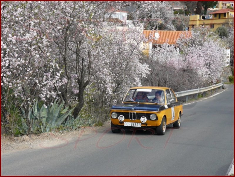 irmogan267.jpg