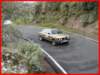 p1190758_small.jpg