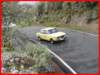 p1190760_small.jpg