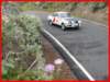 p1190766_small.jpg