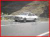 p5010084_small.jpg