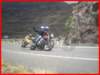 p5010098_small.jpg