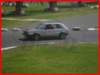 p5010144_small.jpg