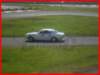 p5010152_small.jpg
