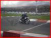 p5010310_small.jpg