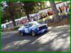 p1000520_small.jpg