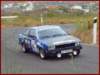 rally010_small.jpg