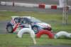 dsc_0132_small.jpg