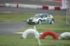 dsc_0136_small.jpg