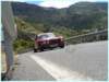 p1190629_small.jpg