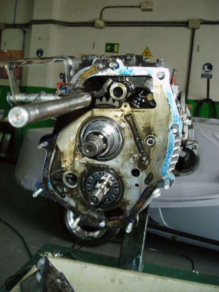 photo11.jpg
