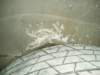 photo74_small.jpg