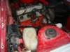 dsc00575_small.jpg