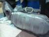 dsc00583_small.jpg
