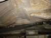 dsc00694_small.jpg