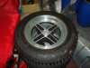 dsc00695_small.jpg